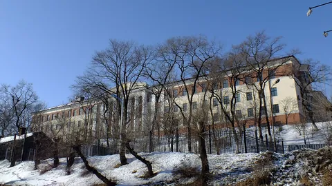 Морской государственный университет им. адмирала Г.И. Невельского — здание вуза