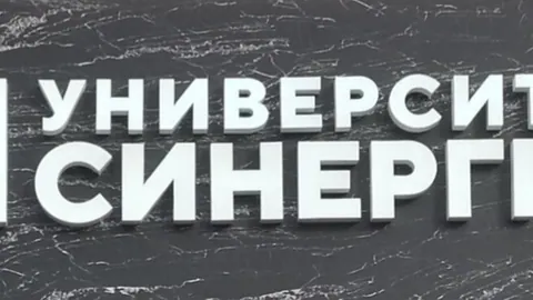 Московский финансово-промышленный университет "Синергия" — здание вуза