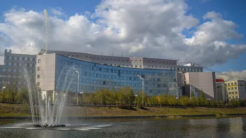 Северо-Восточный федеральный университет им. М.К. Аммосова — здание вуза