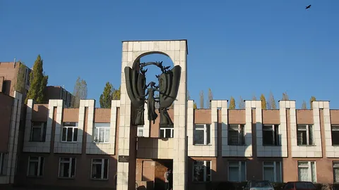 Воронежский государственный институт искусств — здание вуза